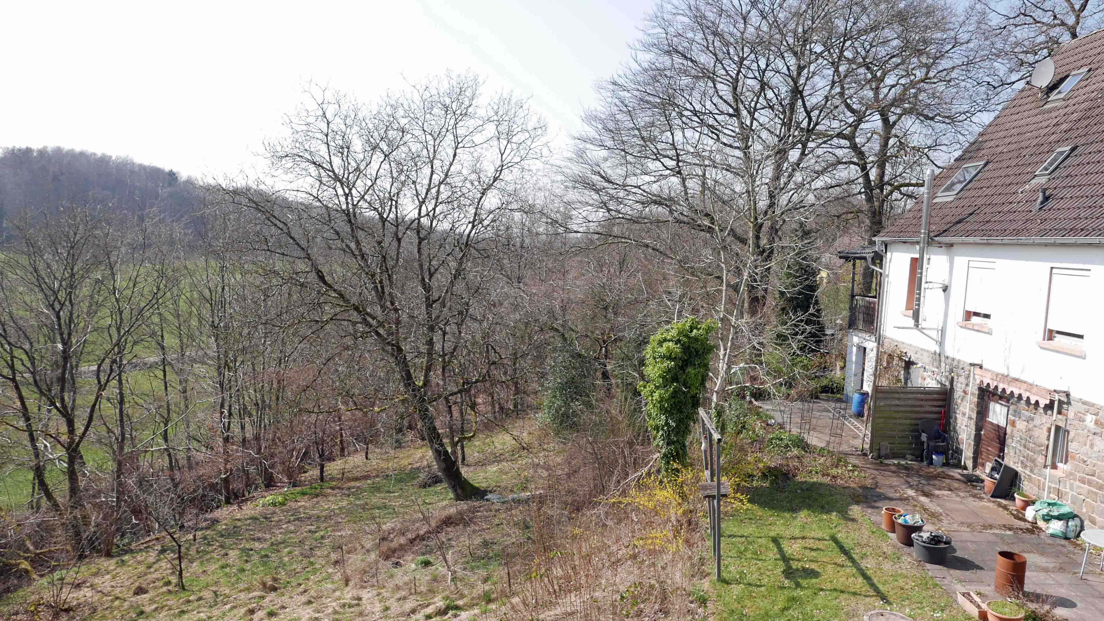 Waldbröl-Geiningen: (Fast-) Alleinlage Doppelhaushälfte auf 1.126 m² Grundstück , Terrasse mit Blick auf die große Gartenebene