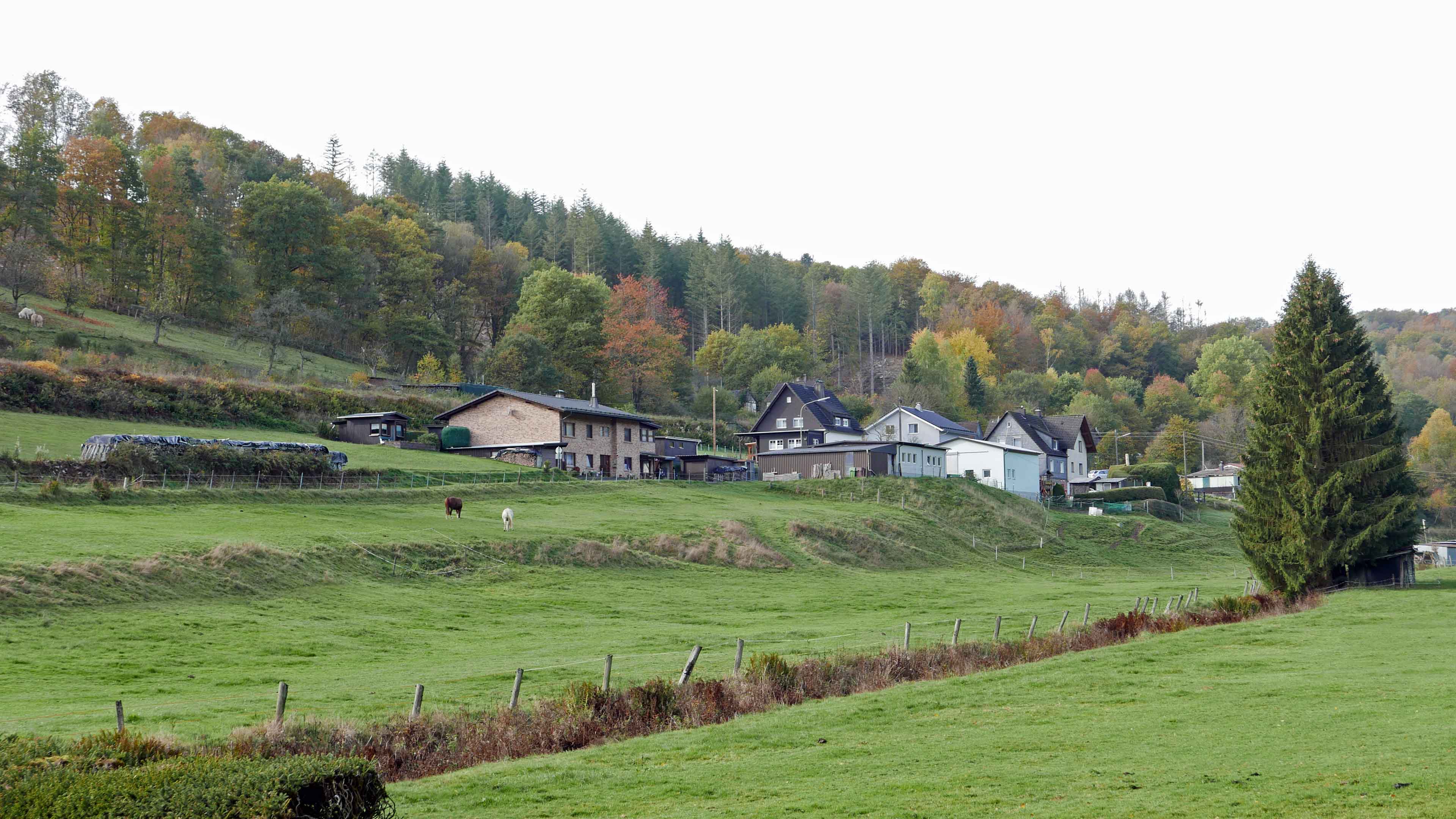 Morsbach: Perfekt für das Landleben in der Natur, herrliche Ortsrand-/Naturlage bei Morsbach (3 km)