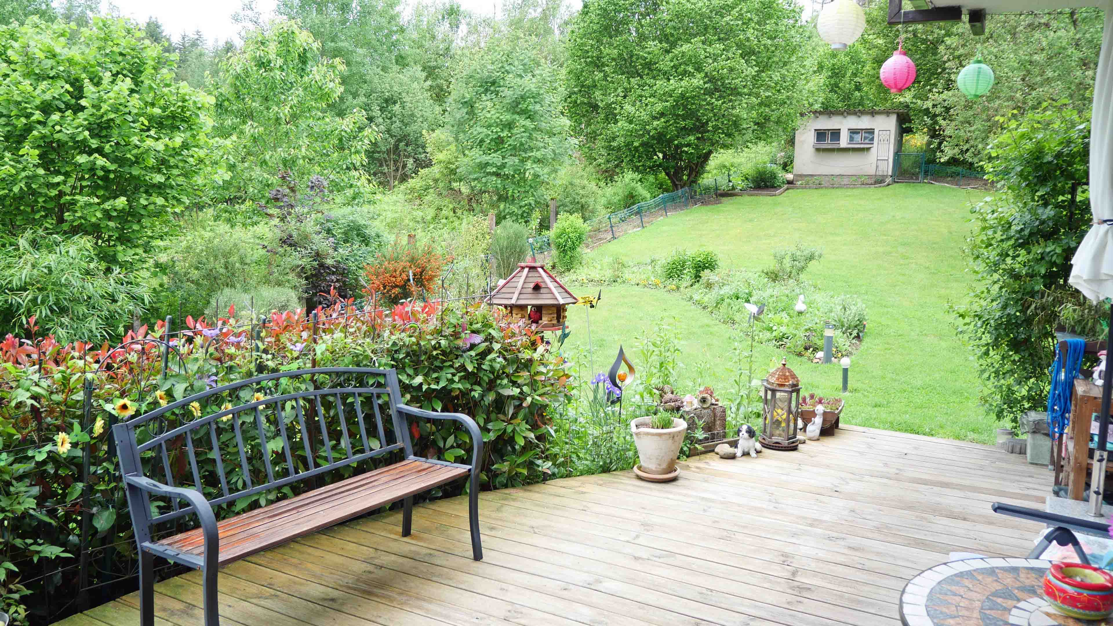 Morsbach-Volperhausen: Einmalig schön in der Natur gelegen, Blick von der Terrasse zum Garten 