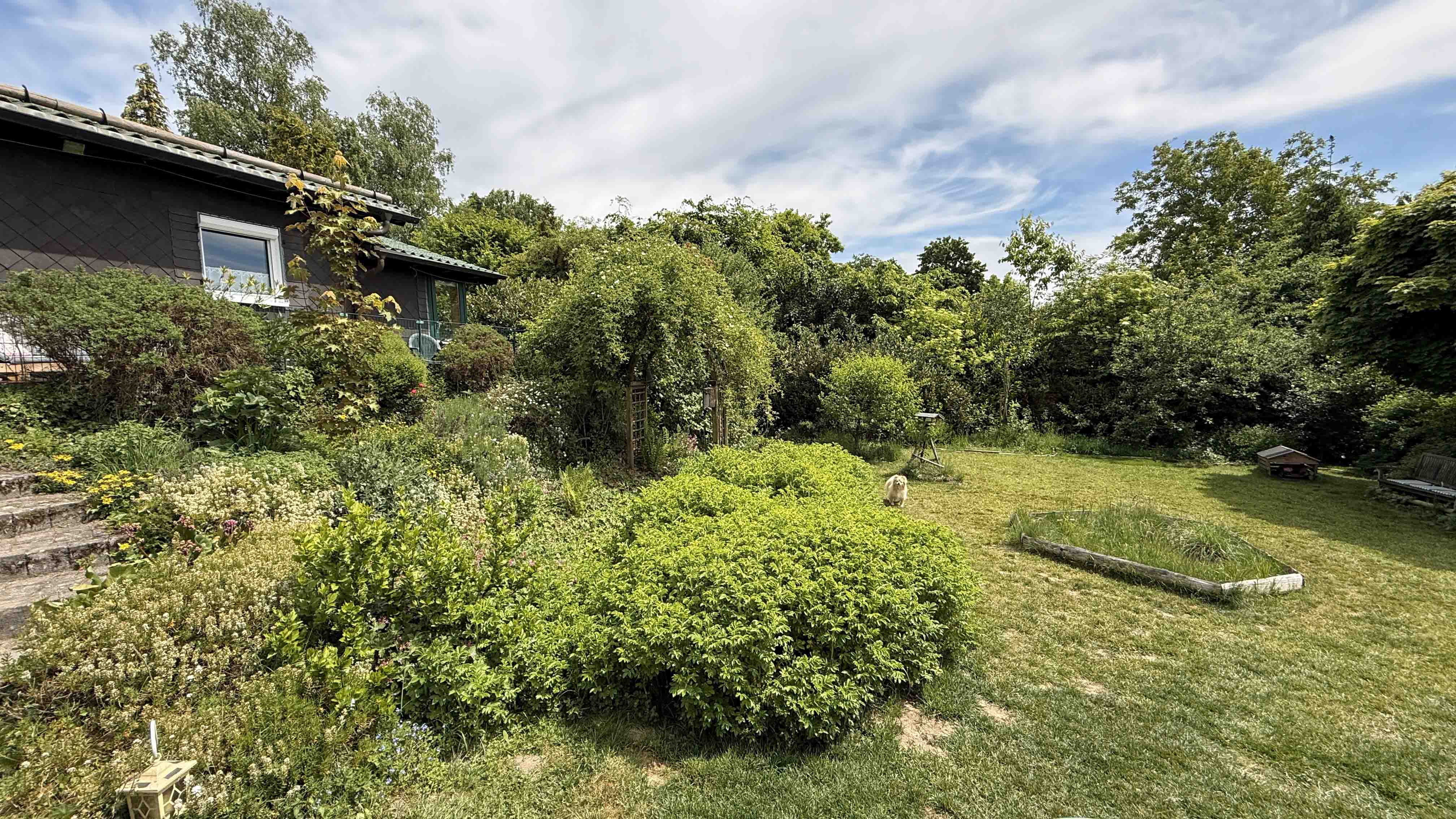 Windeck-Perseifen: Das kleine Paradies in herrlicher Höhen-/Naturlage, 