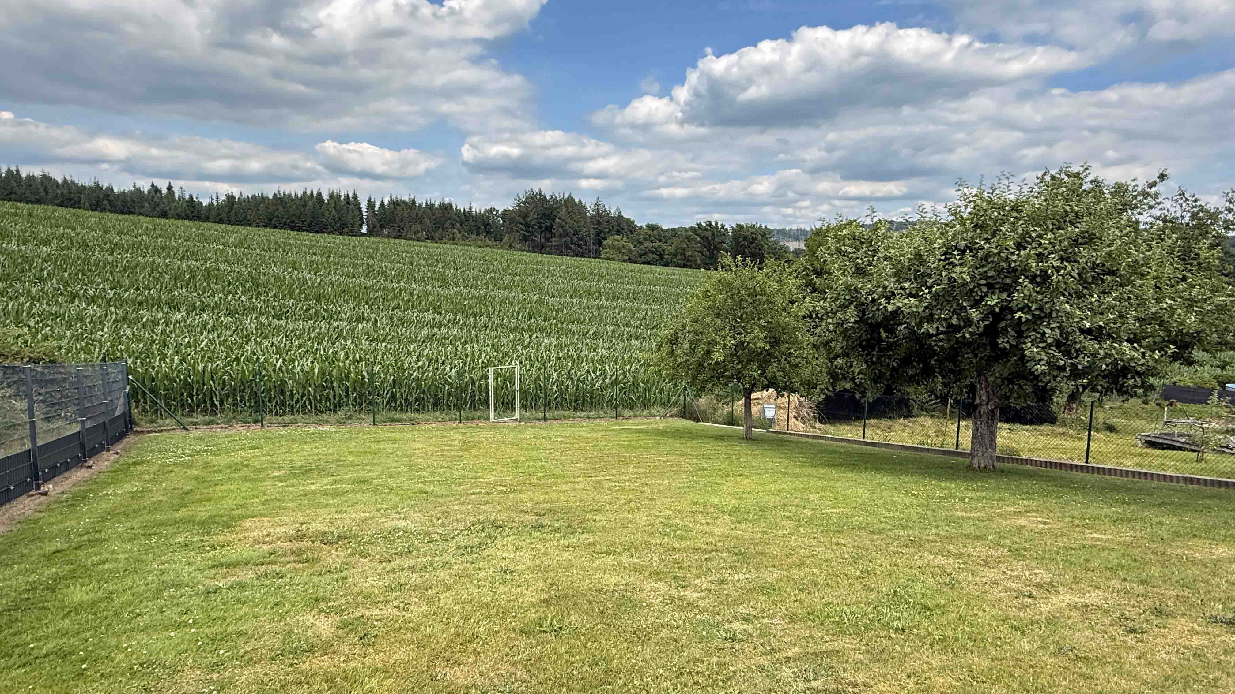 Morsbach-Katzenbach: Gepflegter Bungalow mit großem Garten, Garten mit Türchen direkt in die Natur