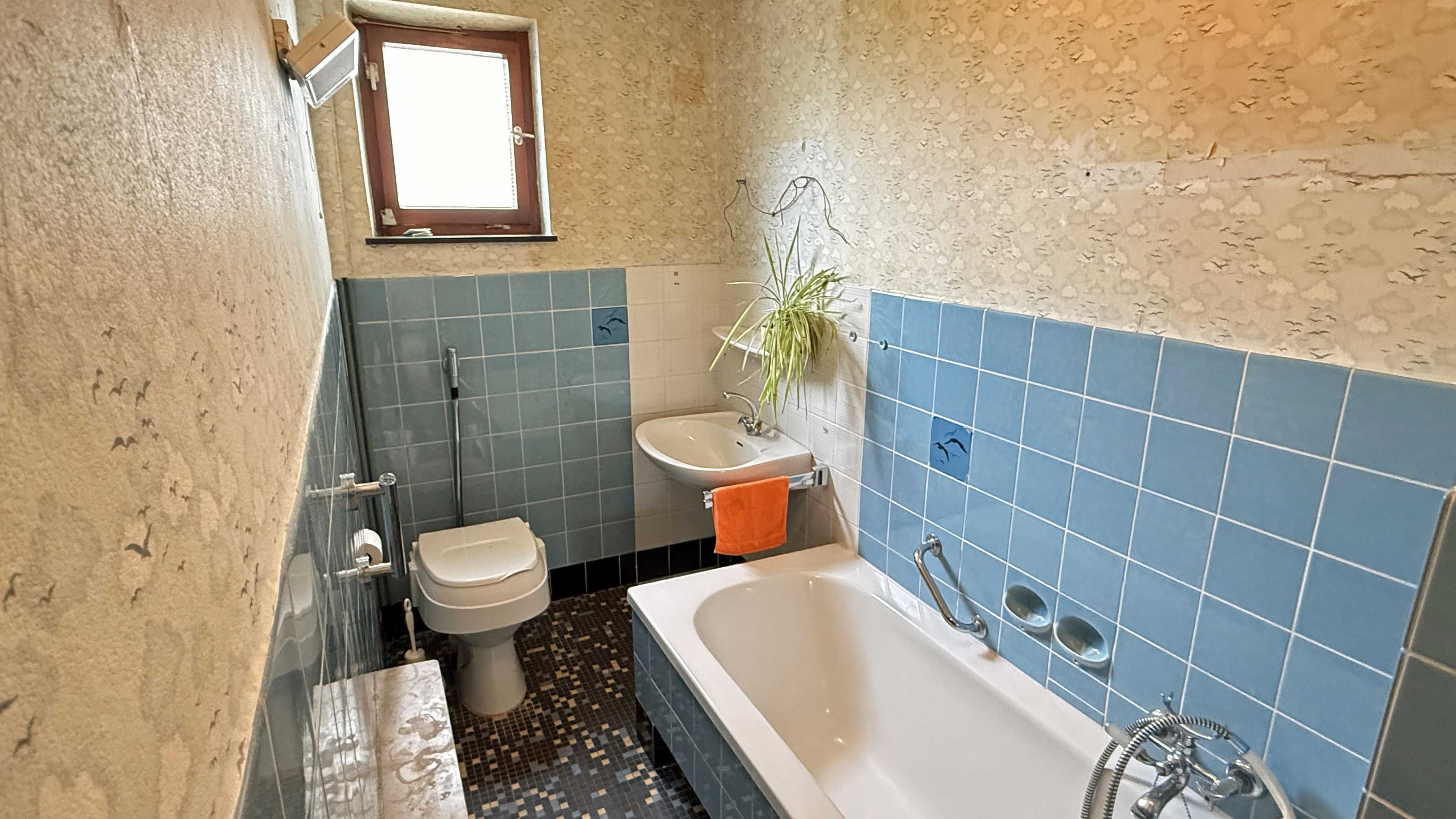 Wissen: Älteres EFH mit Garten, Garage und Dachterrasse, ...und Bad/ WC im EG  (4,4 m²)
