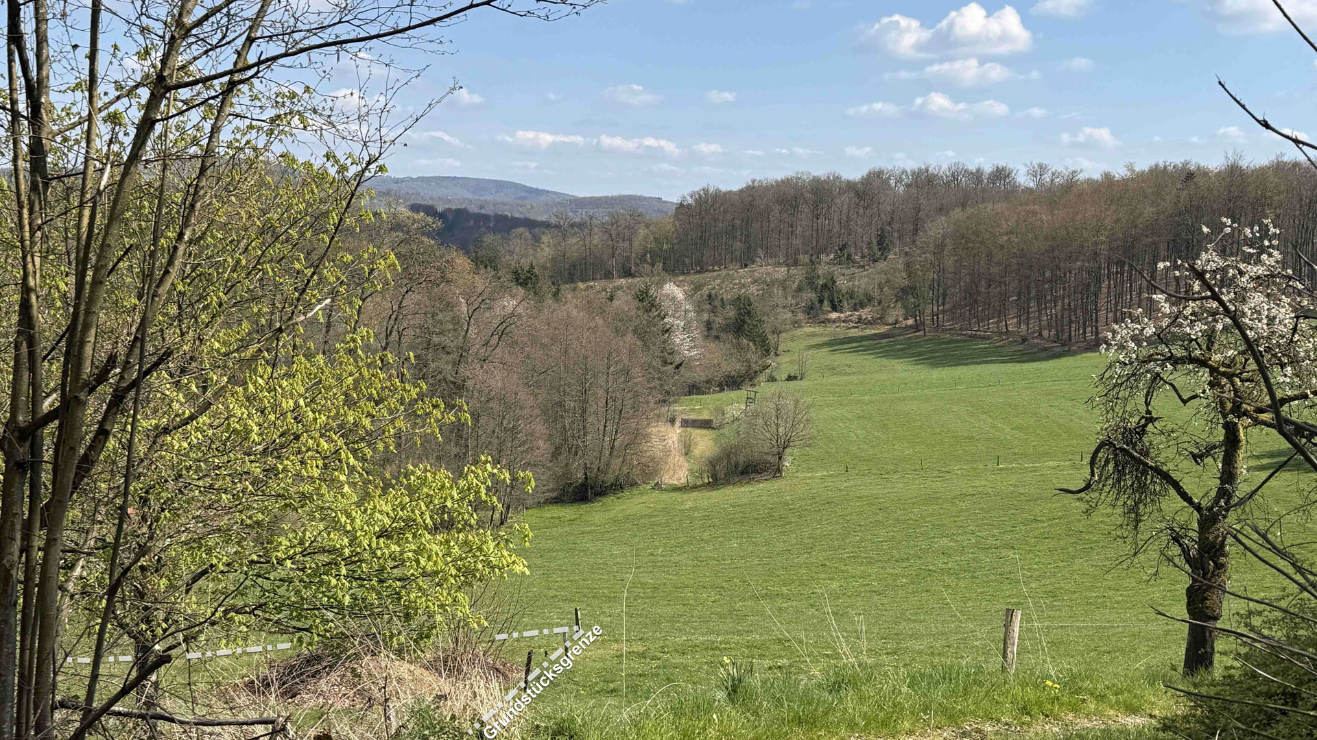 Kirchen-Äpfelbach: Landhaus in malerischer Landschaft, malerische Landschaft als direkter Nachbar