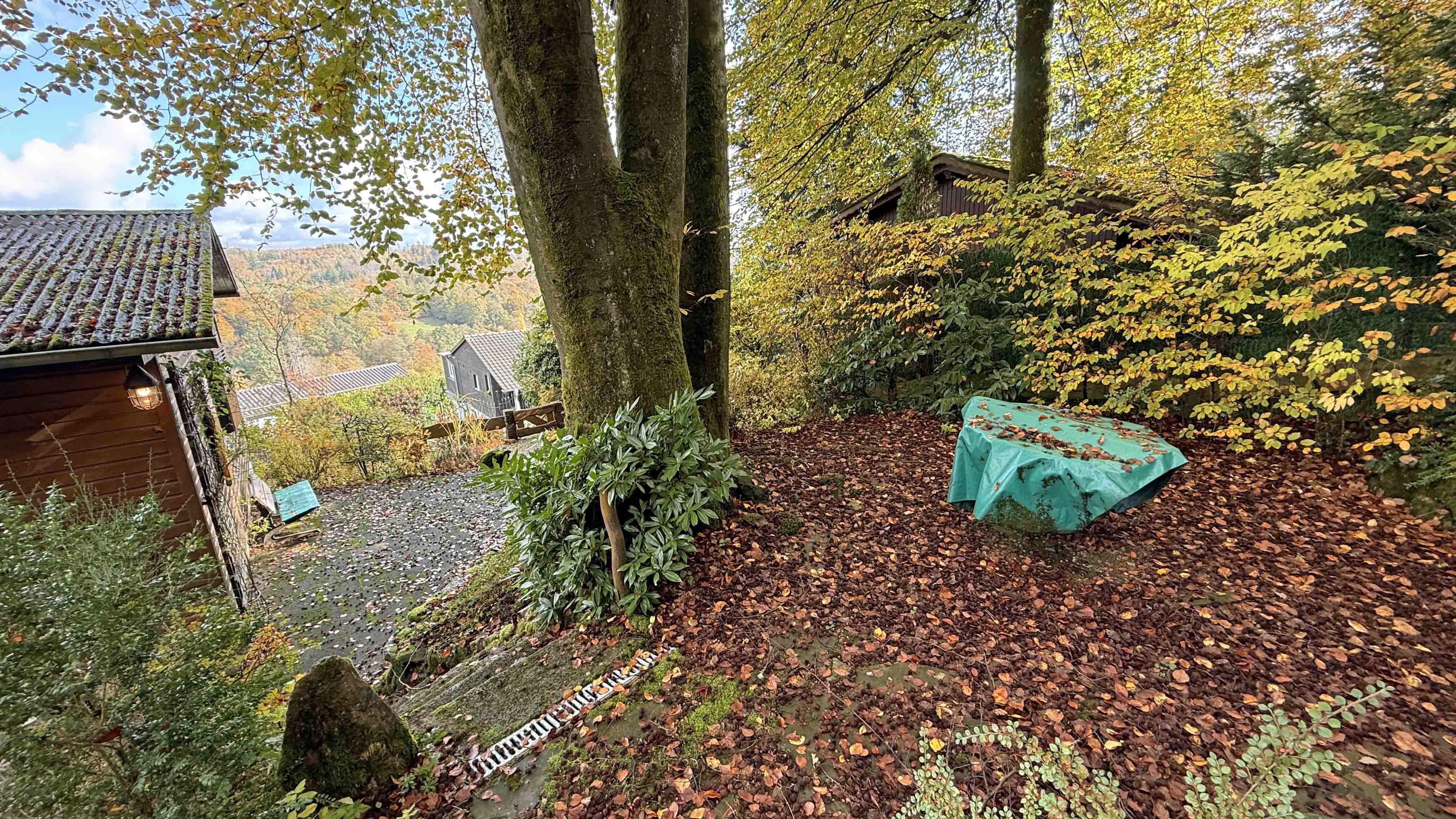 Morsbach-Böcklingen: Gemütlich in der Natur, kleines Holzblockhaus, mehrere Terrassen mit Fernblick...