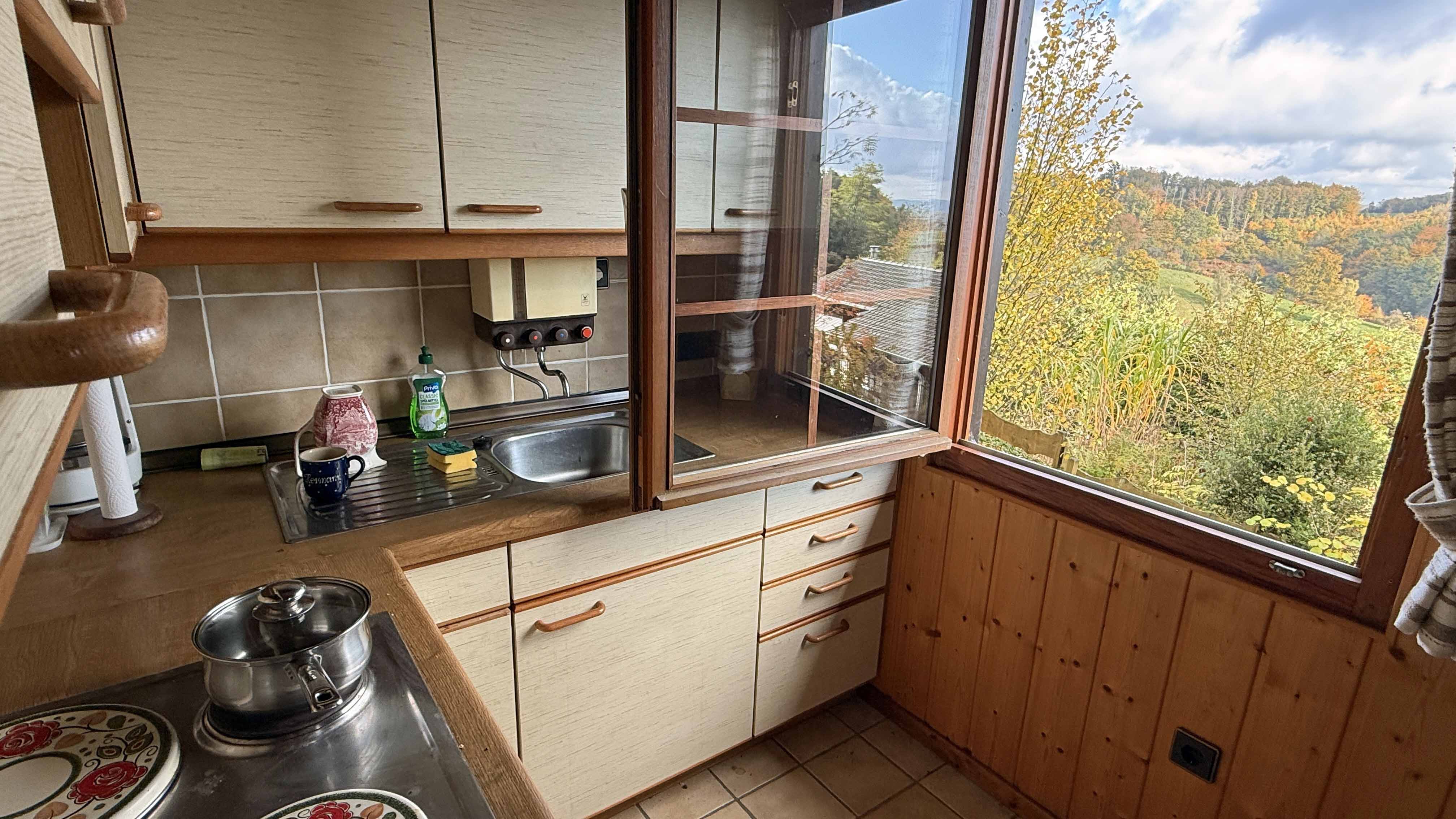 Morsbach-Böcklingen: Gemütlich in der Natur, kleines Holzblockhaus, ...mit diesem Blick aus dem Fenster 